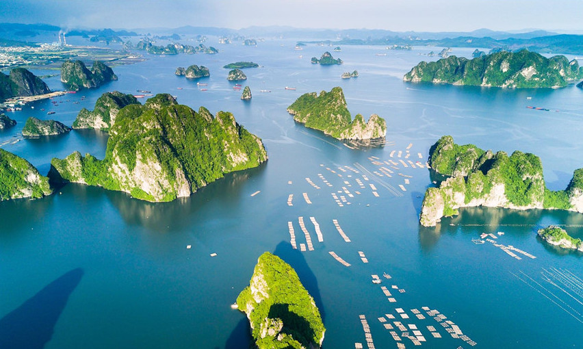 Halong